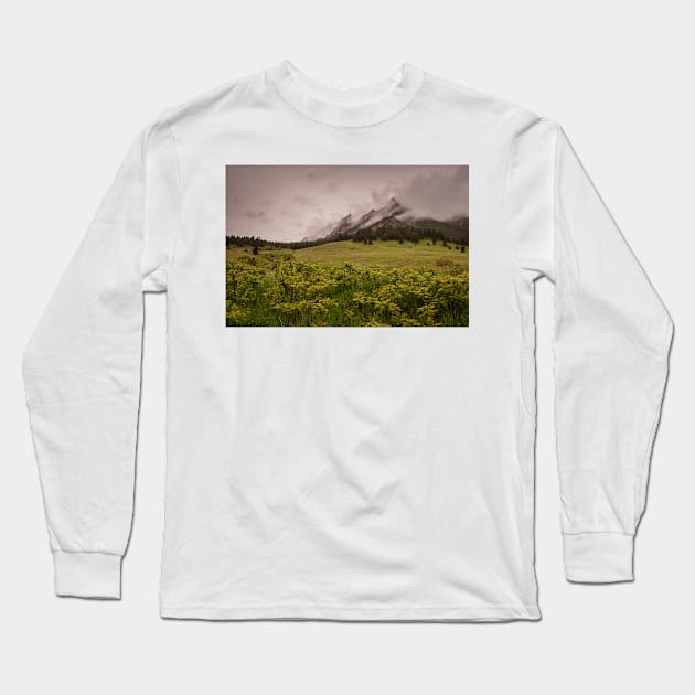 Flatiron Storm Long Sleeve T-Shirt by nikongreg